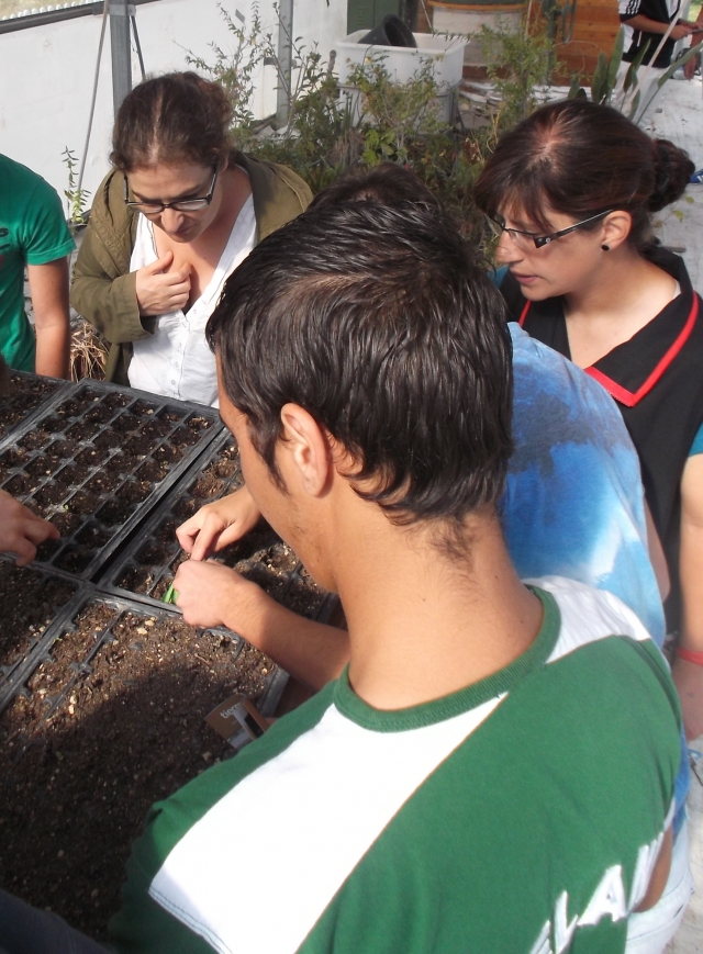 Semilleros ecológicos Centro de Menores "Las Lagunillas" (Jaén)