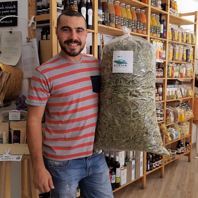 Pablo Ahufinger es productor de stevia ecológica