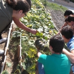 Huerto ecológico en el Centro de Menores "Las Lagunillas" (Jaén)